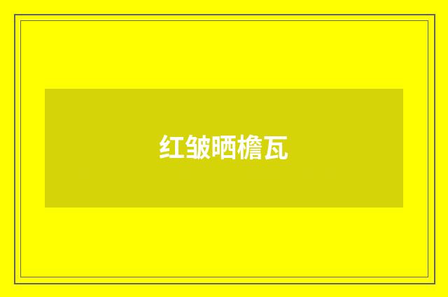 红皱晒檐瓦