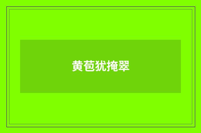黄苞犹掩翠