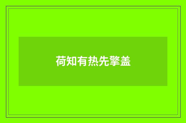 荷知有热先擎盖