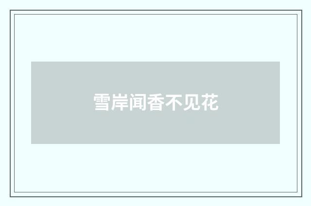 雪岸闻香不见花