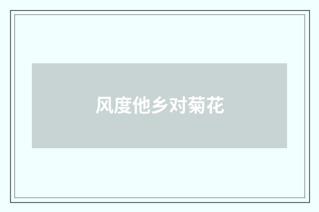 风度他乡对菊花