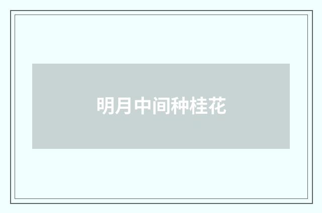 明月中间种桂花