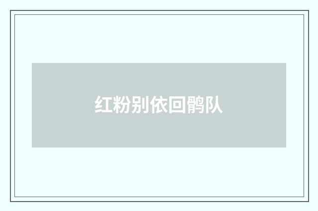 红粉别依回鹘队