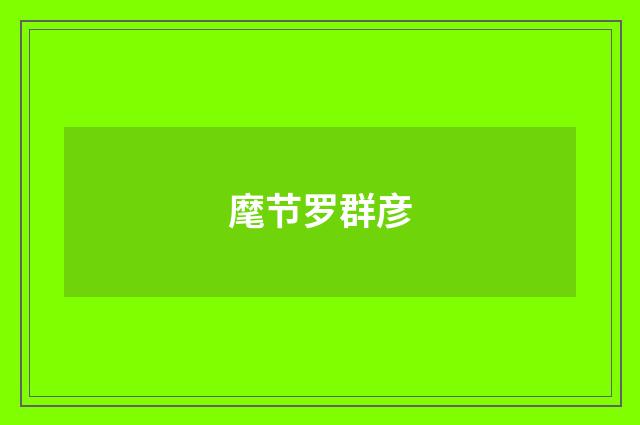 麾节罗群彦