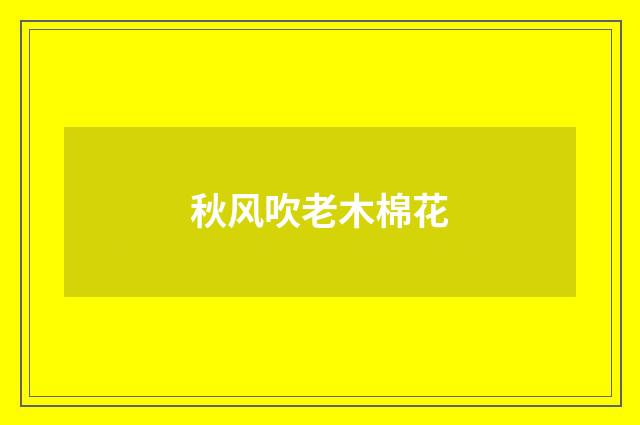 秋风吹老木棉花