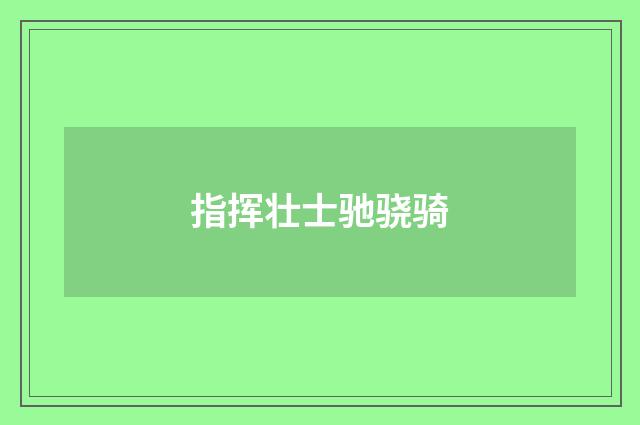 指挥壮士驰骁骑