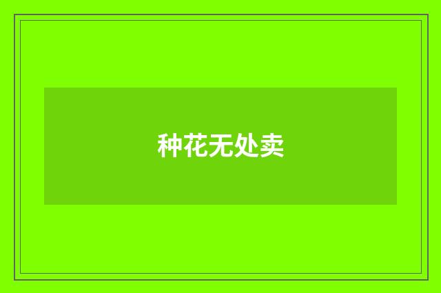 种花无处卖
