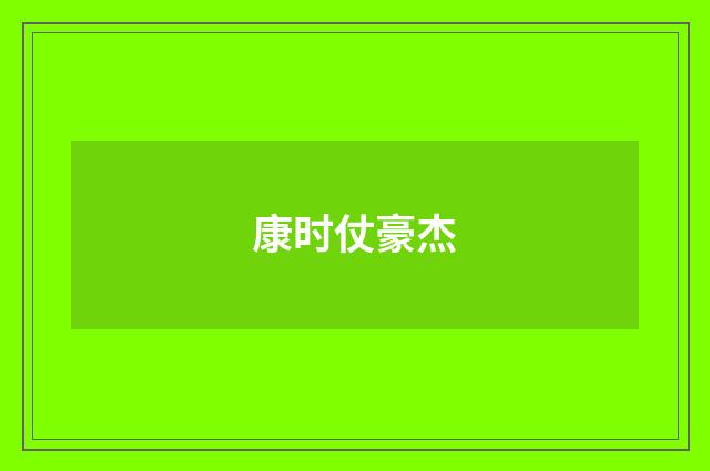 康时仗豪杰