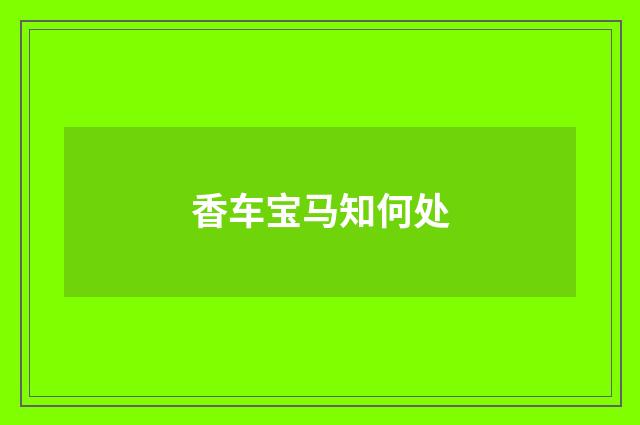 香车宝马知何处