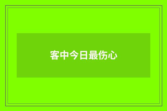 客中今日最伤心