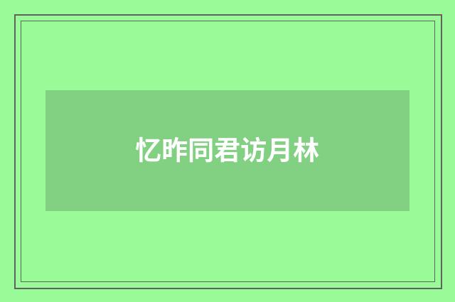 忆昨同君访月林