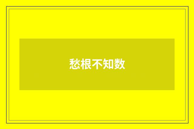 愁根不知数