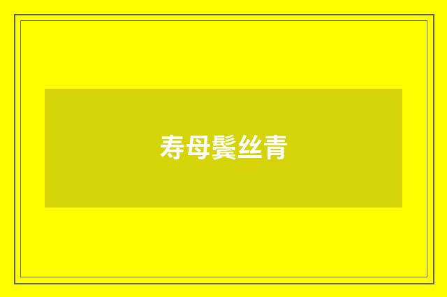 寿母鬓丝青