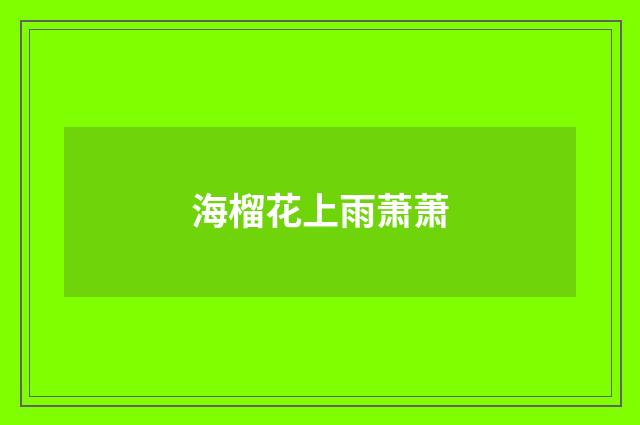 海榴花上雨萧萧