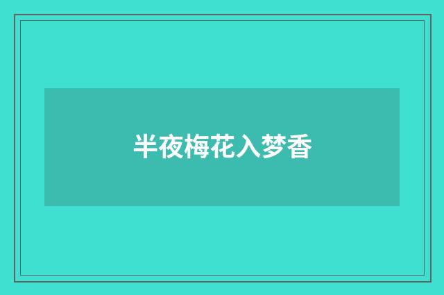 半夜梅花入梦香