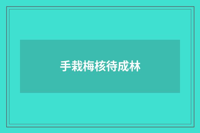 手栽梅核待成林