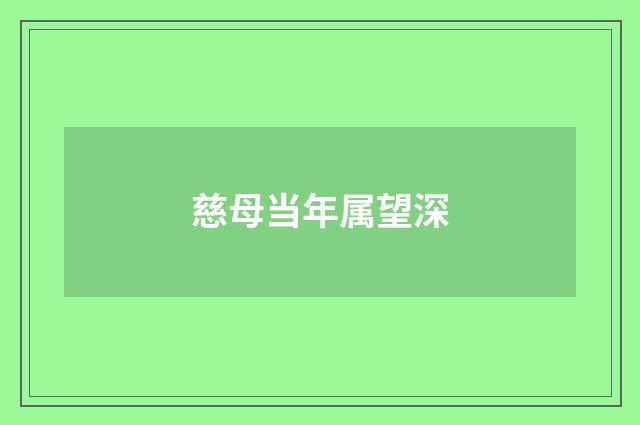 慈母当年属望深