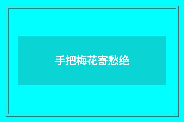手把梅花寄愁绝