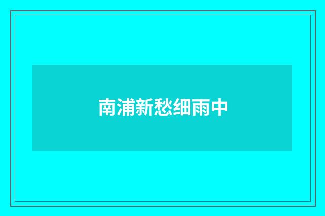 南浦新愁细雨中