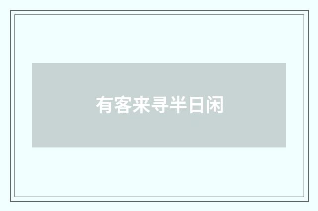 有客来寻半日闲