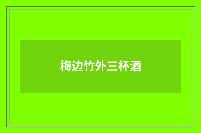 梅边竹外三杯酒