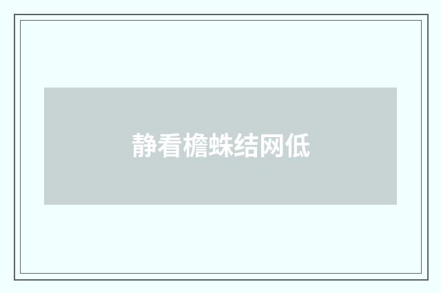 静看檐蛛结网低