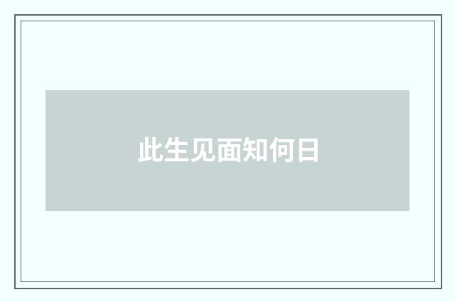 此生见面知何日