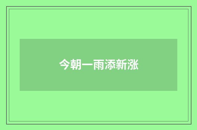 今朝一雨添新涨