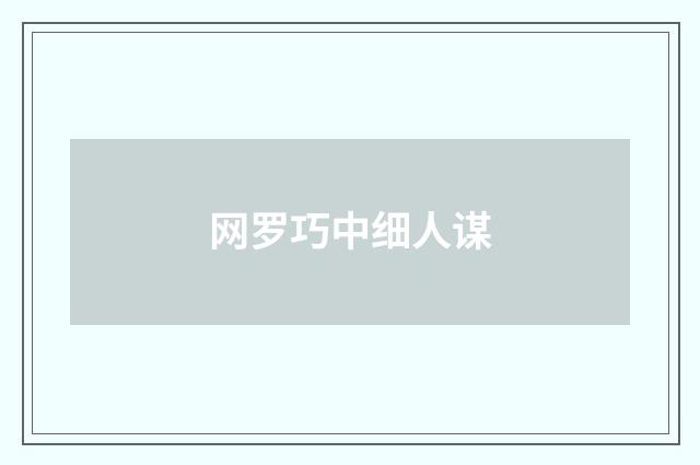 网罗巧中细人谋