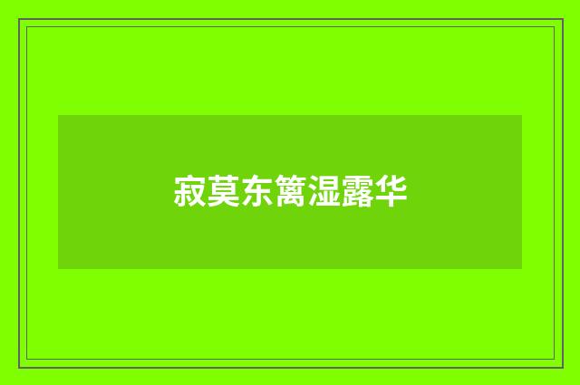寂莫东篱湿露华