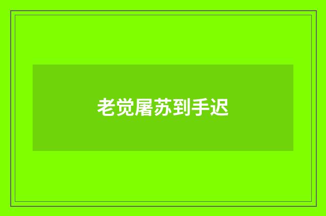老觉屠苏到手迟