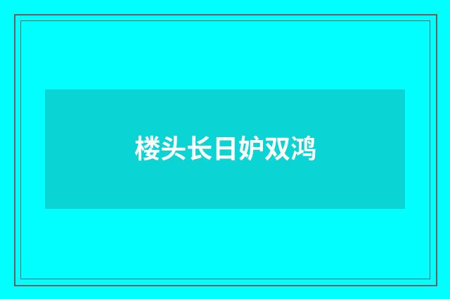 楼头长日妒双鸿