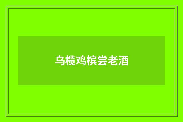 乌榄鸡槟尝老酒