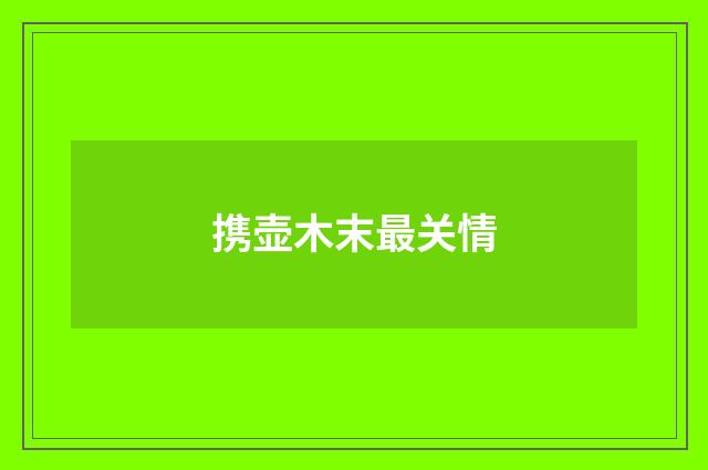 携壶木末最关情