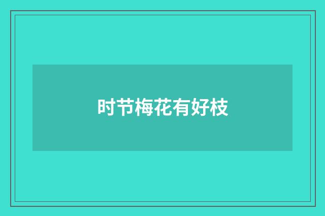 时节梅花有好枝