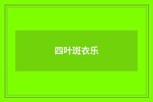 四叶斑衣乐