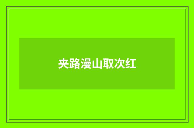 夹路漫山取次红