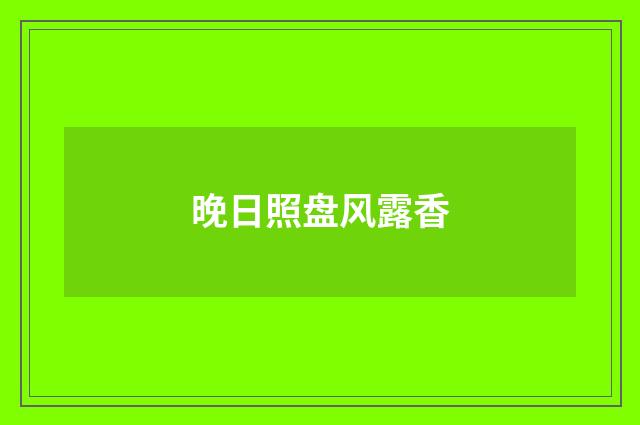 晚日照盘风露香