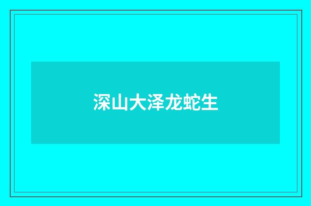 深山大泽龙蛇生