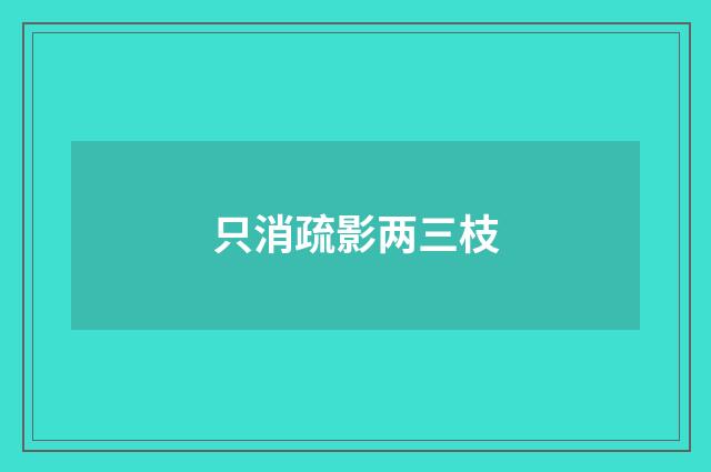 只消疏影两三枝