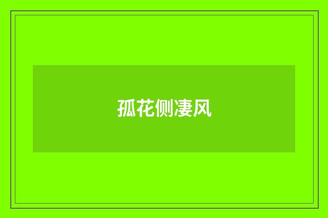孤花侧凄风
