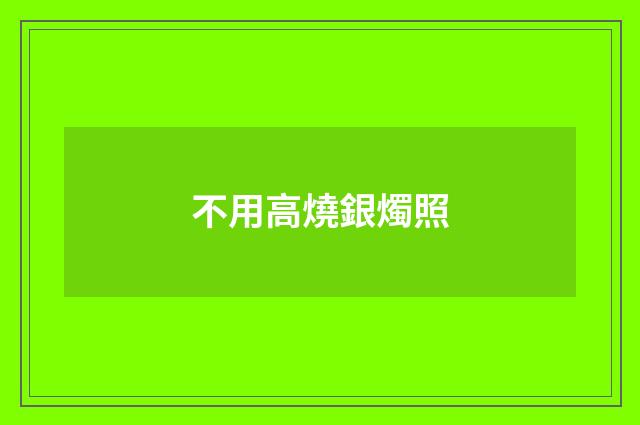不用高燒銀燭照
