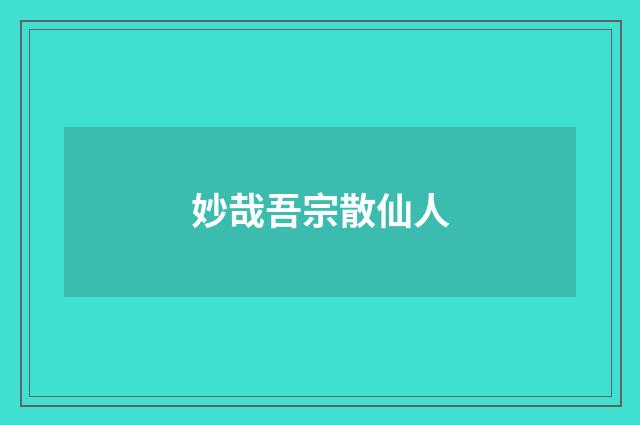 妙哉吾宗散仙人