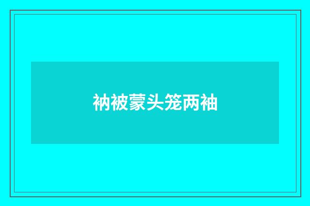衲被蒙头笼两袖