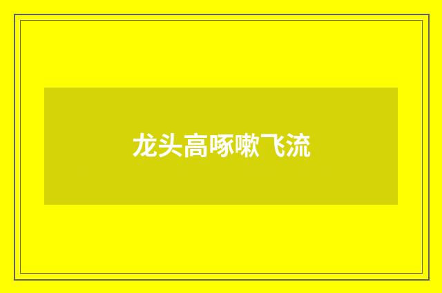 龙头高啄嗽飞流