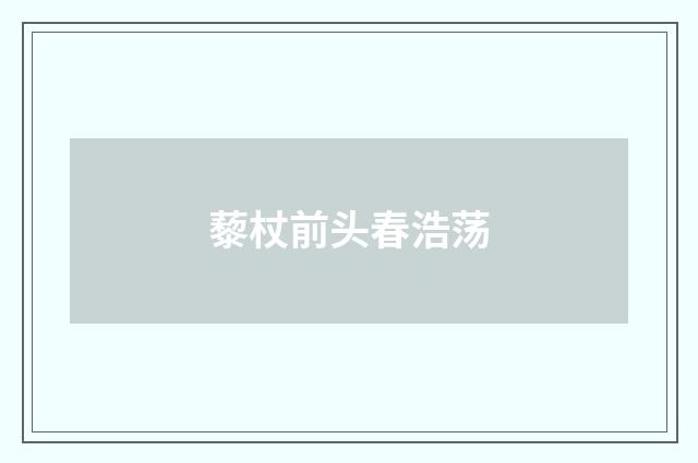 藜杖前头春浩荡