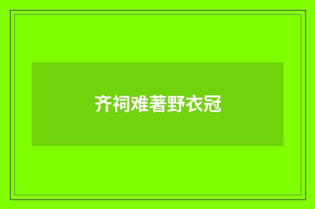 齐祠难著野衣冠