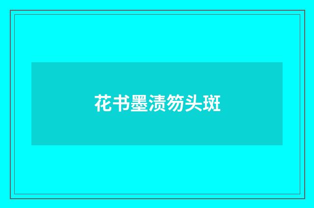 花书墨渍笏头斑