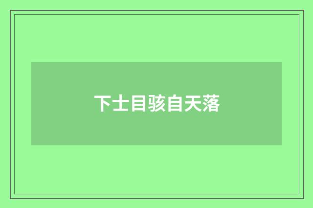 下士目骇自天落