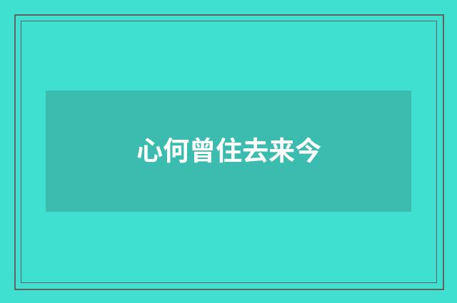 心何曾住去来今